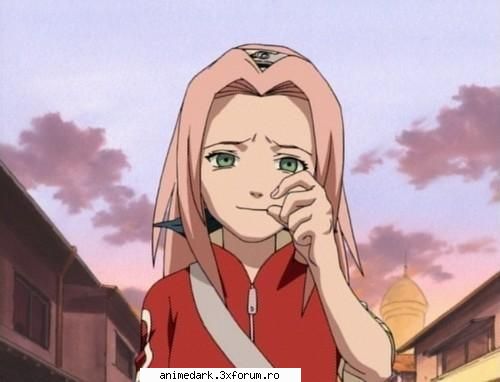 s1 sakura