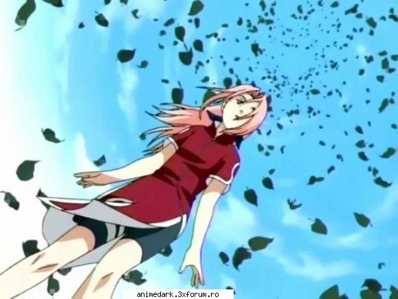 alta sakura