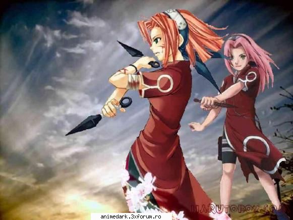 alta sakura