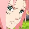sakura: sakura